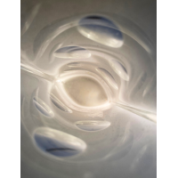 Václav Hanuš Jablonecké vaas